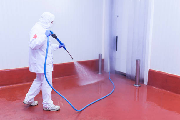 Best Soft Washing  in West Bishop, CA